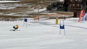 IMG 5377